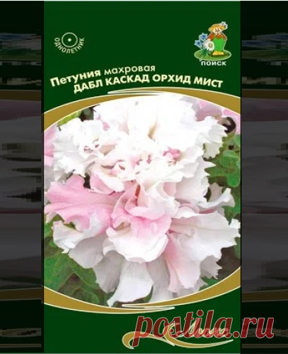Прелестная на вид каскадная петуния Дабл Каскад Орхид Мист.  Планируется к посеву на сезон 2025 года.  Если кто-нибудь выращивал ее - поделитесь мнением.