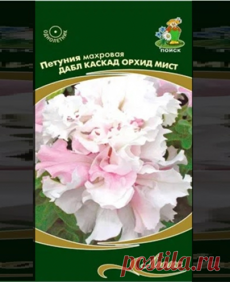 Прелестная на вид каскадная петуния Дабл Каскад Орхид Мист.  Планируется к посеву на сезон 2025 года.  Если кто-нибудь выращивал ее - поделитесь мнением.