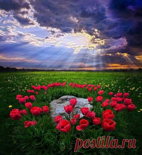 Верь, что все посылается вовремя,...
Не зря,.... для чего-то и к лучшему...
Не бывает всегда только солнечно,
Но солнце всегда есть за тучею.

Оксана Зет