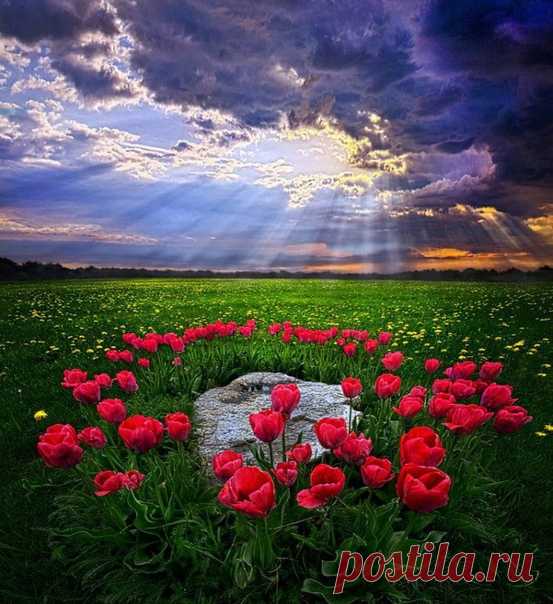 Верь, что все посылается вовремя,...
Не зря,.... для чего-то и к лучшему...
Не бывает всегда только солнечно,
Но солнце всегда есть за тучею.

Оксана Зет