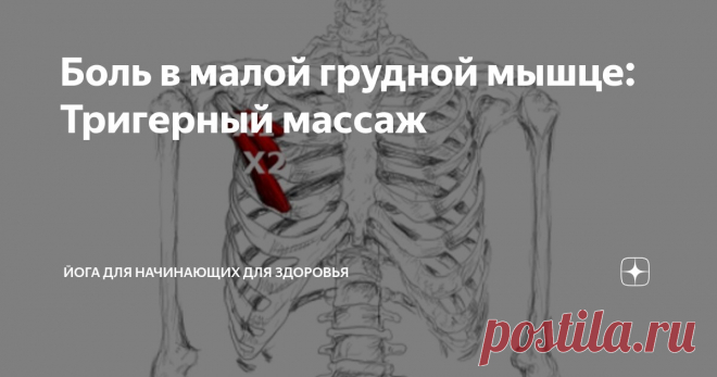 Боль в малой грудной мышце: Тригерный массаж Статья автора «Йога для начинающих для здоровья» в Дзене ✍:  Триггерные точки в малой грудной мышце – распространенный источник боли и дискомфорта, иррадиирующего в грудь, плечо и верхнюю часть спины.