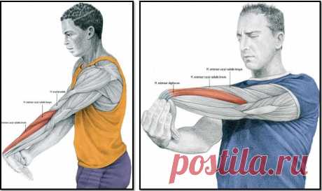 Боль в запястьях. Упражнения для запястий. Упражнения при болях в запястьях