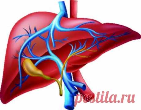 Диабетическая дермопатия и другие виды поражения кожи при диабете