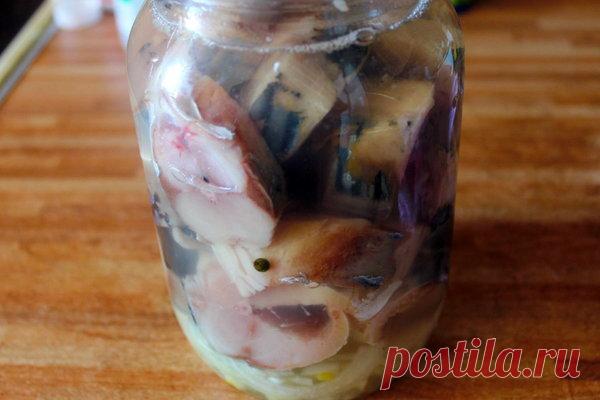 Скумбрия: День ждать, за пять минут съесть