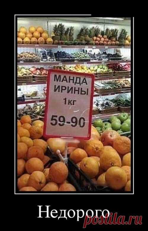 Демотиваторы - приколы
