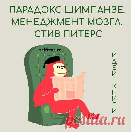 Парадокс Шимпанзе. Менеджмент мозга. Стив Питерс • selftrue