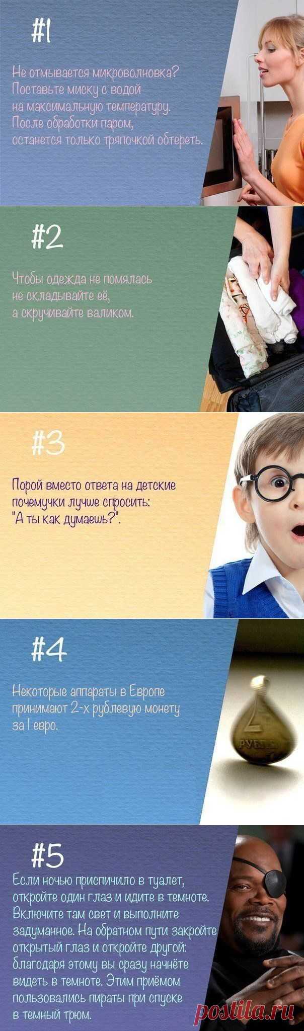 Советы на все случаи жизни / Домоседы