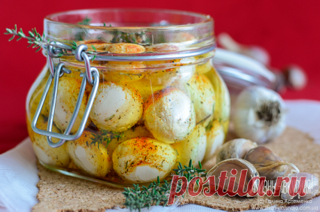 Сыр лабне – такой загадочный, такой простой! Маринованные шарики - Жизнь - вкусная!