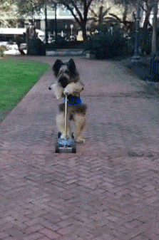 via GIPHY