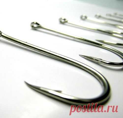 Как подобрать рыболовный крючок