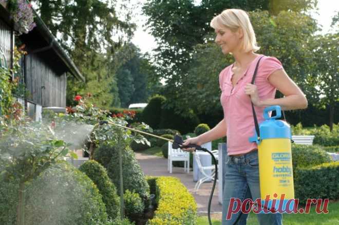 Камфорный спирт: незаменимый помощник советских хозяек, о котором несправедливо забыли