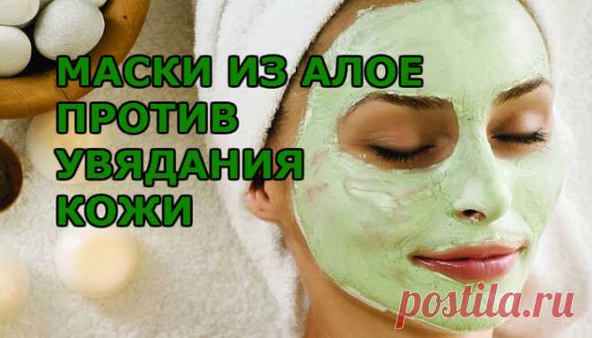 Полезные маски с алоэ, предотвращающие быстрое старение кожи