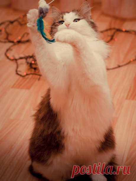 Берегите природу