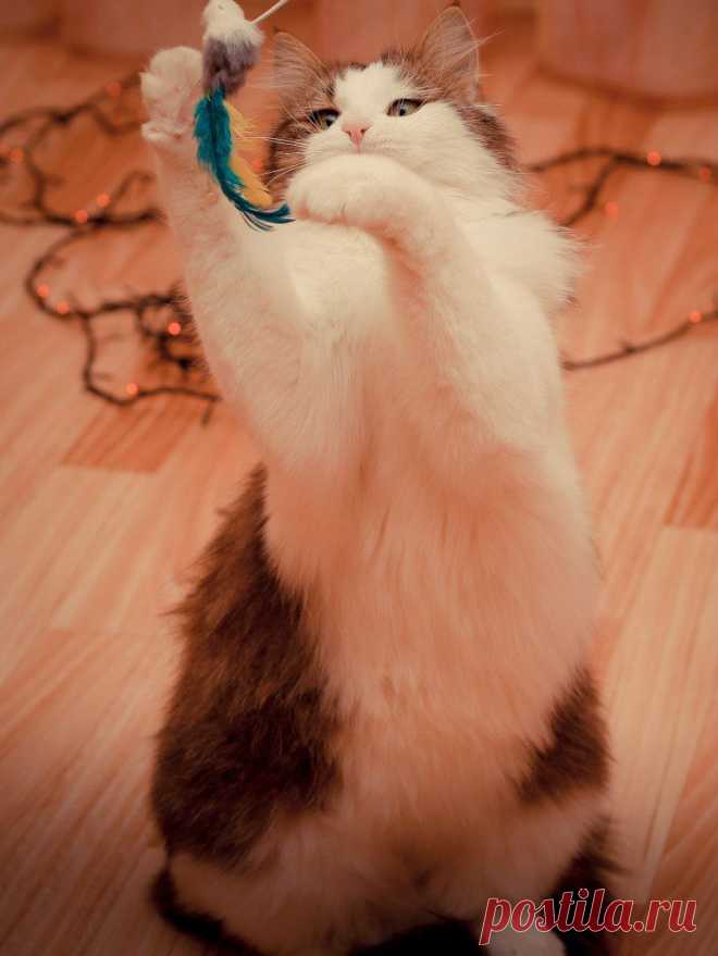 Берегите природу