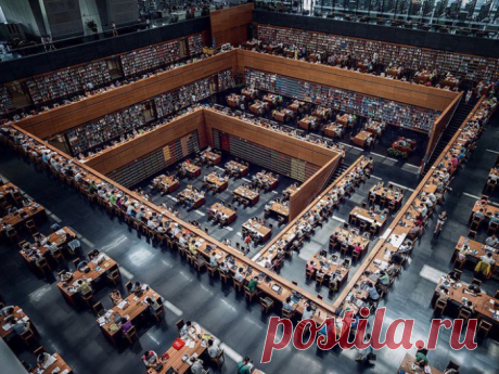 Предлагаю вашему вниманию подборку редких и интереснейших снимков. Заходите, будет интересно, обещаю.