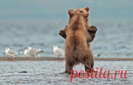 Интересные новости