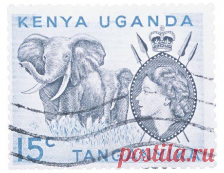 Загадочные заболевания 1. Средневековая танцевальная чума В 1374 году десятки деревушек, расположенных вдоль Рейна охватило смертельное заболевание – танцевальная чума или, по-научному, хореомания (или пляска святого Витта)...