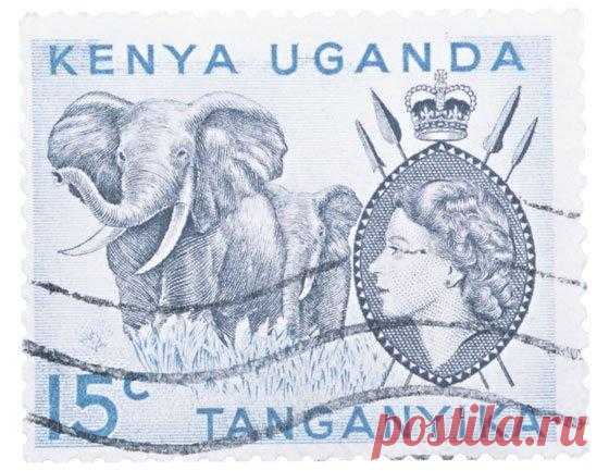 Загадочные заболевания 1. Средневековая танцевальная чума В 1374 году десятки деревушек, расположенных вдоль Рейна охватило смертельное заболевание – танцевальная чума или, по-научному, хореомания (или пляска святого Витта)...