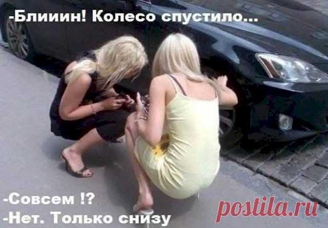 Выпуск №6514 - выпуск анекдотов сайта вокруг смеха