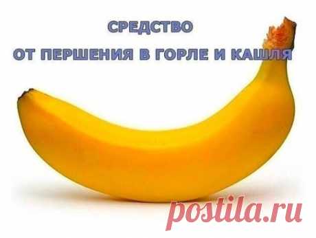 Средство от першения в горле и кашля
Однажды после сильной простуды я долгое время не могла избавиться от першения в горле и кашля. Видя это, моя дочь посоветовала средство, которое она часто использует для своей маленькой дочки, моей внучки: измельчить очищенный банан, растереть до состояния однородной кашицы, добавить 2-3 ч.л.какао. Эту смесь залить чашкой горячего молока и тщательно перемешать, добавив по вкусу сахар, но лучше мед (если нет аллергии на него).
