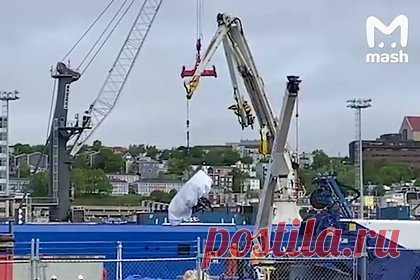 Опубликовано видео с обломками взорвавшегося в Атлантике батискафа. В сети появилось видео, на котором можно рассмотреть обломки взорвавшегося в Атлантике батискафа «Титан». Соответствующий ролик опубликовал телеканал CBC. На опубликованных кадрах видно, как подъемный кран спускает остатки каркаса аппарата к земле, где к ним подходят люди в спецодежде.