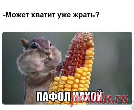 лол!!!
