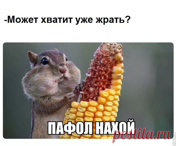 лол!!!