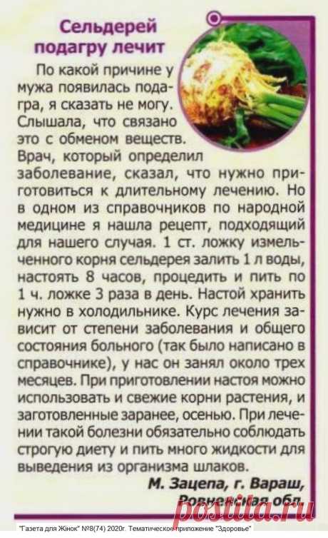 Сельдерей подагру лечит