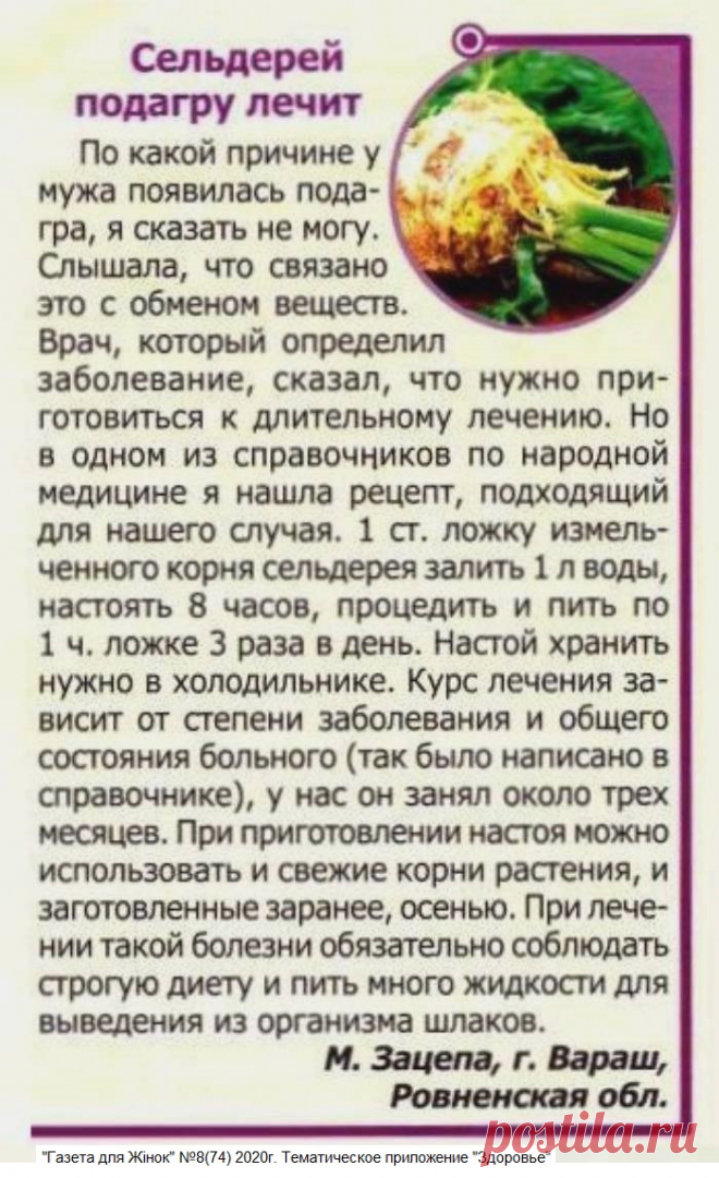 Сельдерей подагру лечит