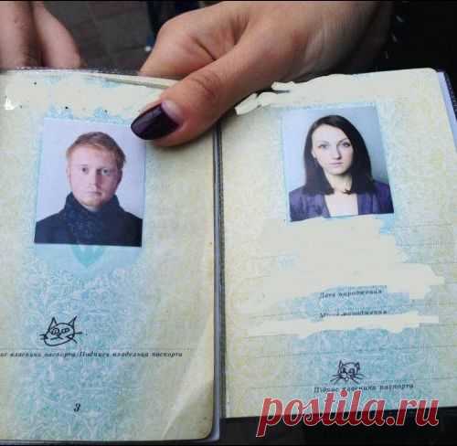Смешные подписи
