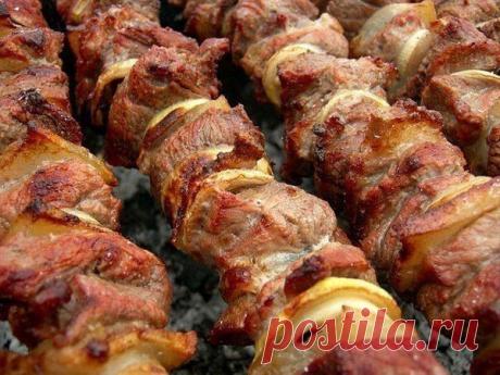 венера: Свою жизнь надо устраивать до тех пор,пока жизнь не начнет устраивать тебя