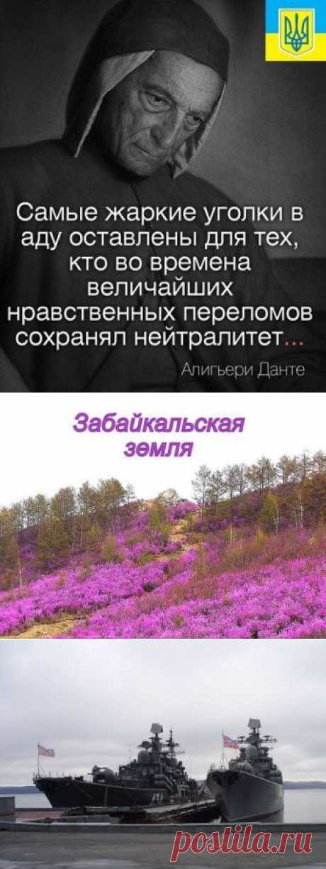 (18) Одноклассники