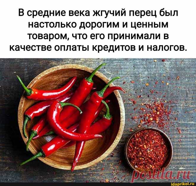 В средние века жгучий перец был настолько дорогим и ценным товаром, что его принимали в качестве оплаты кредитов и налогов. - АйДаПрикол