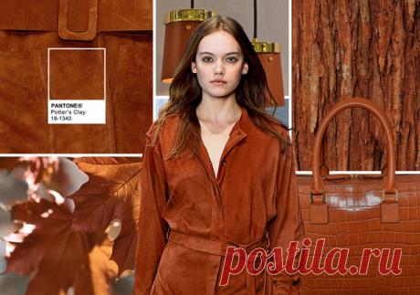 Модные цвета осень-зима 2017 в женской одежде по версии Pantone
ГОНЧАРНАЯ ГЛИНА