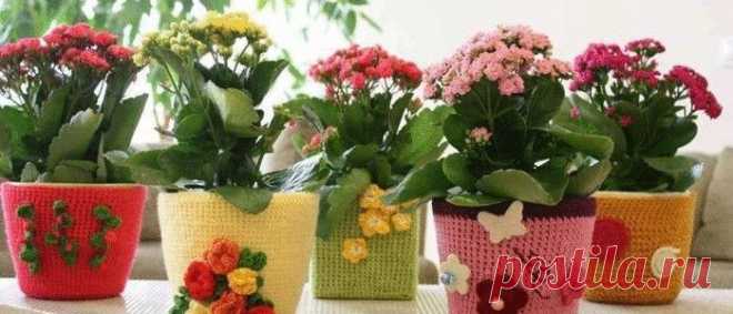 вязание / Поиск по тегам / ВТОРАЯ УЛИЦА