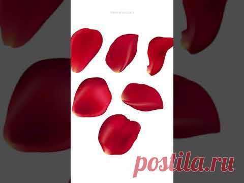 Нарисовала розу - YouTube