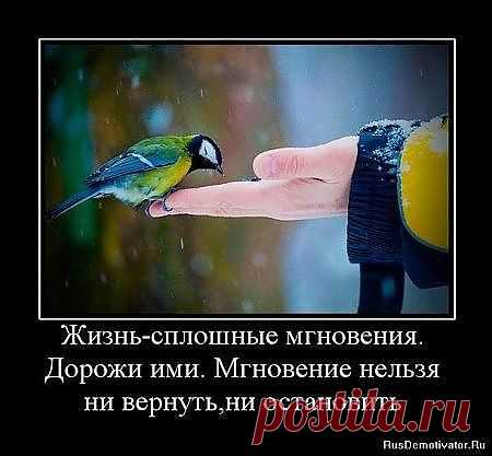 Жизнь- это мнгновение