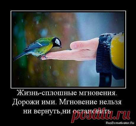 Жизнь- это мнгновение