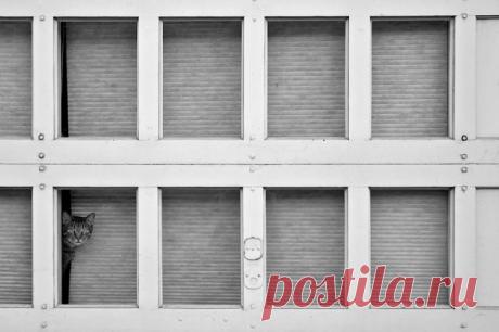 Главное, чтобы дома кто-то ждал – Фитнес для мозга