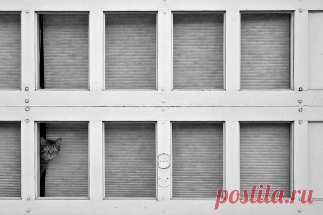 Главное, чтобы дома кто-то ждал – Фитнес для мозга