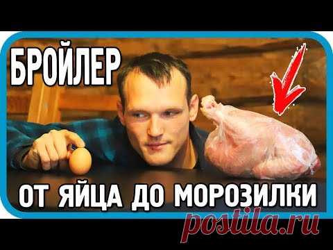 100 КГ МЯСА ЗА 90 ДНЕЙ! ЭКСПЕРИМЕНТ ЗАВЕРШЁН!