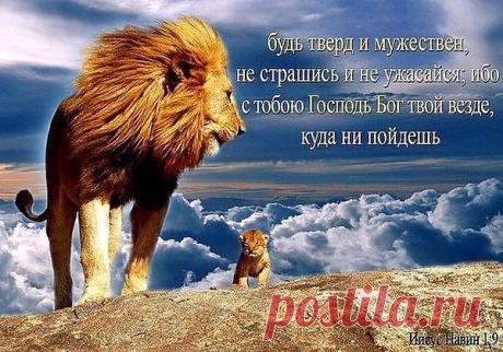 Фото пользователя Владимир, Санкт-Петербург, 51 год