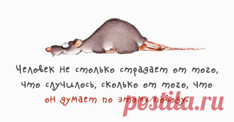 фитнес для мозга: 24 тыс изображений найдено в Яндекс.Картинках