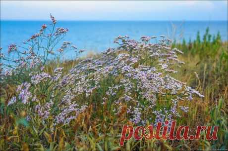 Фотопрогулки. Отдых - это маленькая жизнь 2018