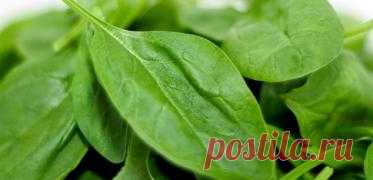 Гликемический индекс продуктов таблица | Культура Здоровья