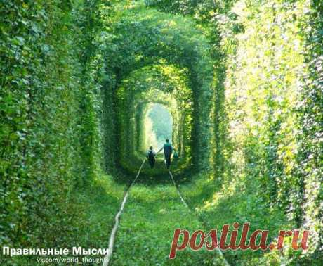 Богаче всего тот человек, чьи радости требуют меньше всего денег / Восприятие бизнеса