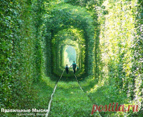 Богаче всего тот человек, чьи радости требуют меньше всего денег / Восприятие бизнеса