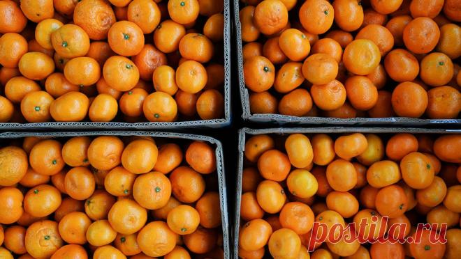 Россиянам рассказали о пользе любимого зимнего фрукта. Любимые многими мандарины - настоящие защитники здоровья, посольку содержат большое количество витаминов и ценных микроэлементов. Об этом в беседе с "Радио 1" рассказала врач-диетолог Елена Соломатина. "Помимо известного ...