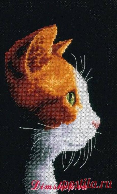 Вышивка котенок...перенабор