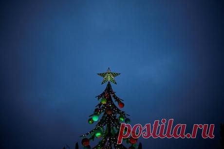 Обнаружено влияние праздничных елей на воздух в доме. Специалисты Национального института стандартов и технологий NIST обнаружили, что живые праздничные ели выделяют летучие органические соединения, влияя на воздух в доме. Всего ученые выявили 52 различных типа монотерпенов, чья концентрация была высока в течение первых трех дней.